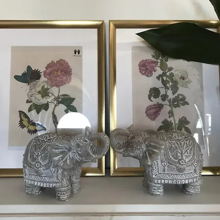 Estrela Panoramic Views By Homing Appartamento *